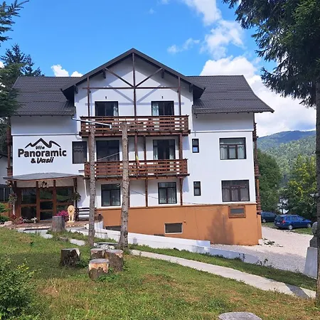 Panoramic